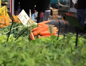 A market stall with fresh vegetables, including orange carrots and green salads. In the background, people can be seen visiting the market.