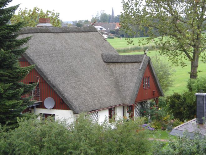 Ein traditionelles Reetdachhaus in einer ländlichen Umgebung mit Bäumen und Wiesen im Hintergrund.