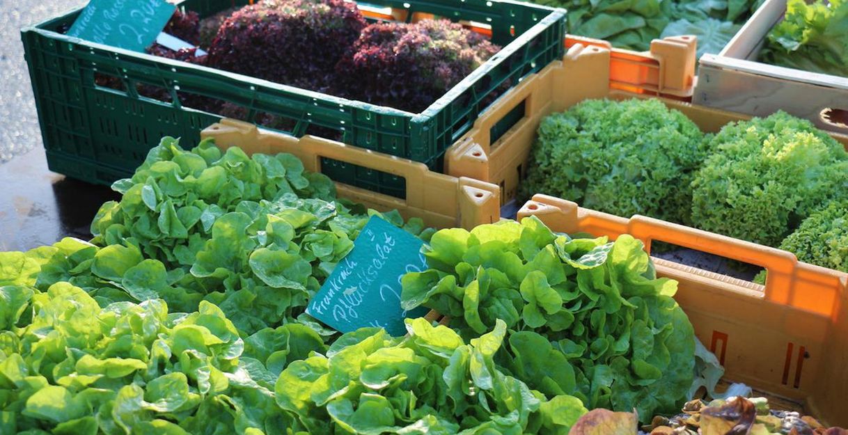 Fresh salad in crates at a market. The picture shows various types of green vegetables, surrounded by a lively market atmosphere.