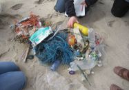 Schutzstation Wattenmeer e.V.
