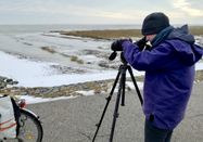 Schutzstation Wattenmeer
